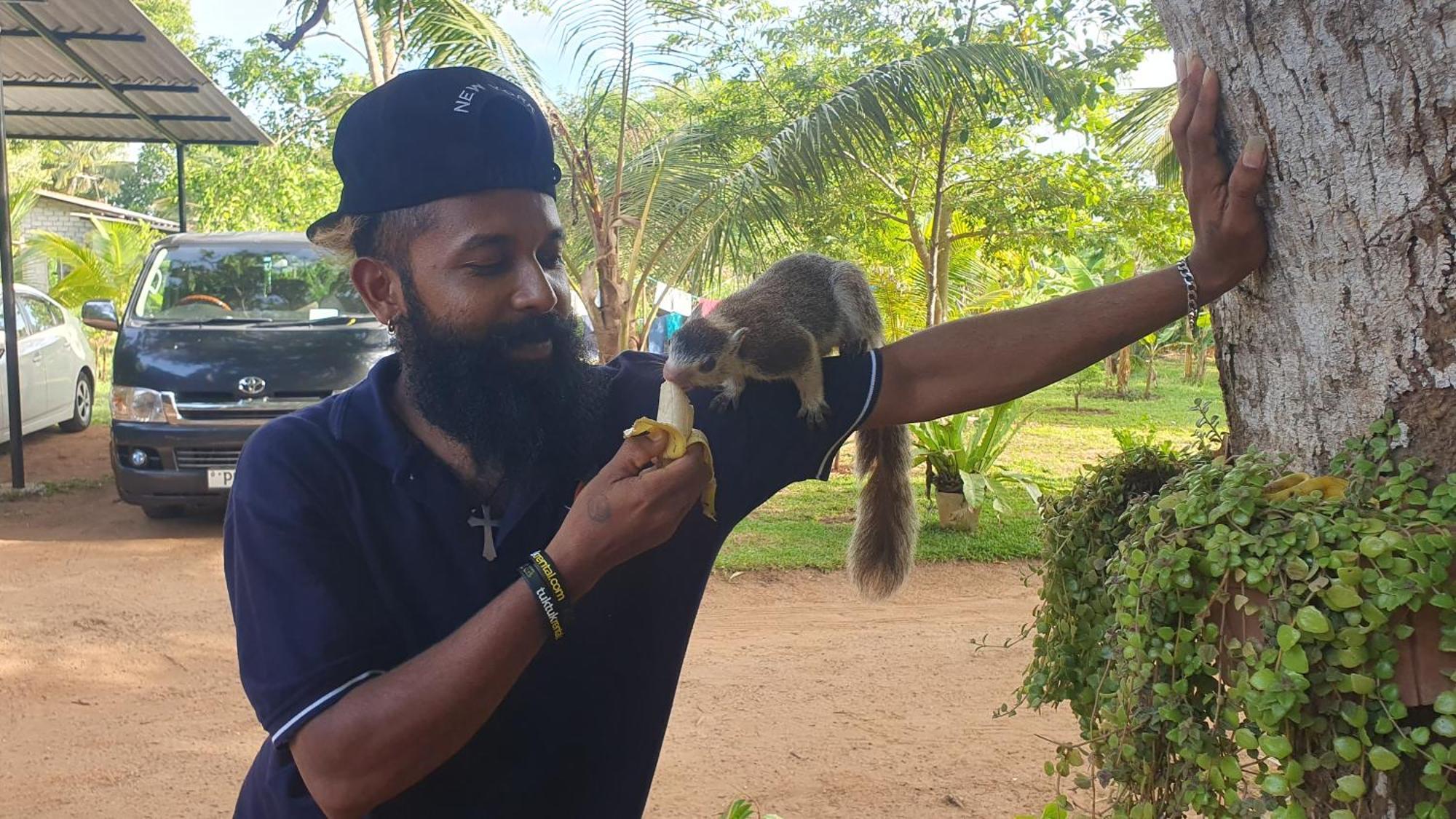 Ceylon Resort Wilpattu Exteriör bild