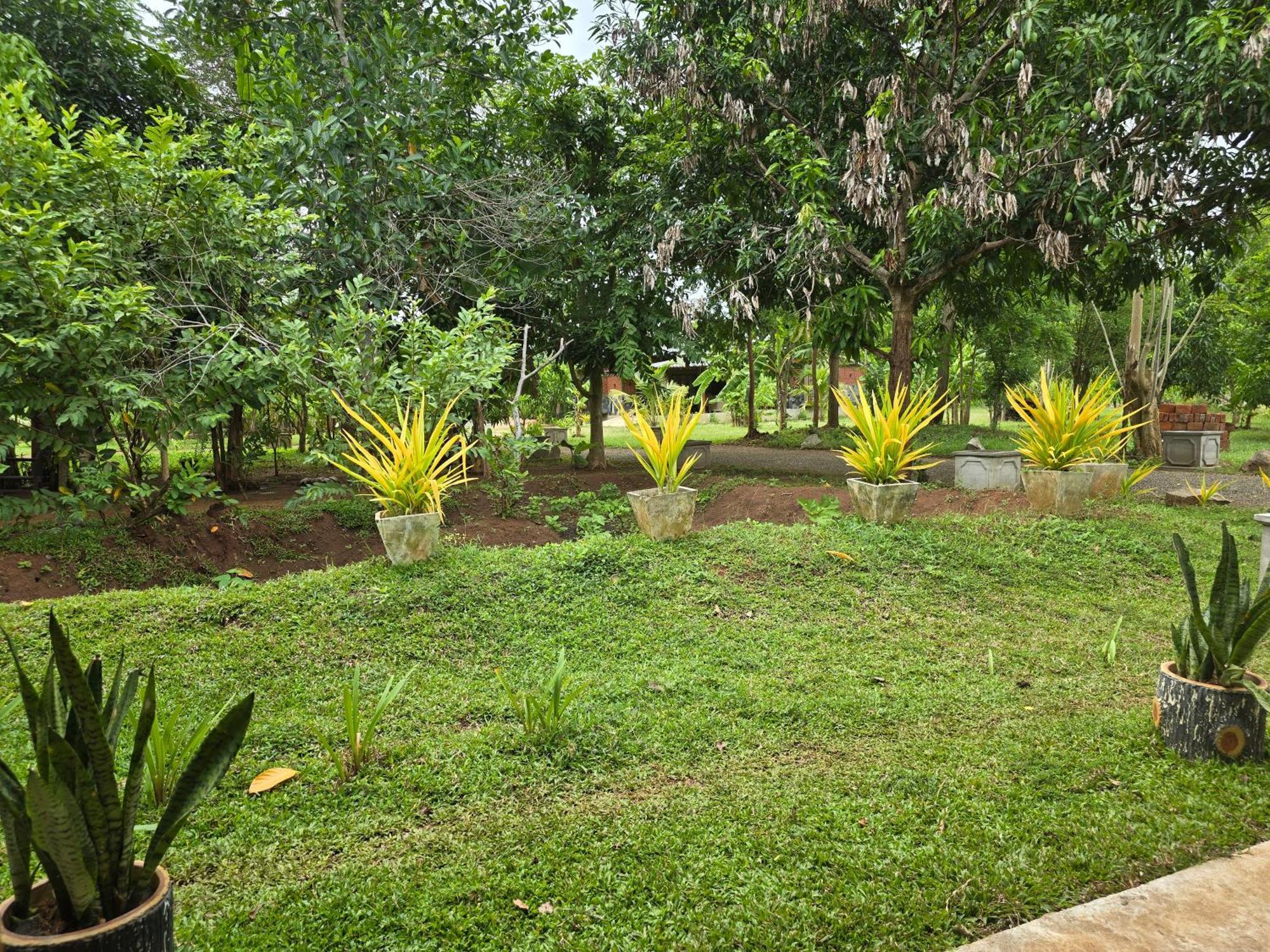 Ceylon Resort Wilpattu Exteriör bild