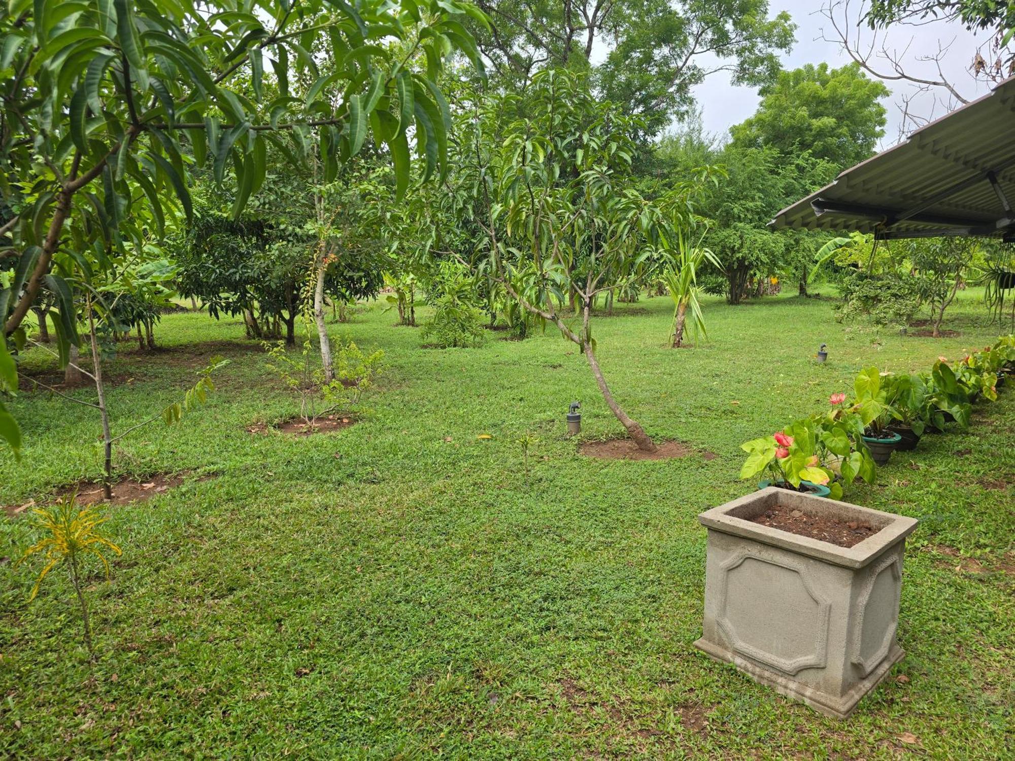 Ceylon Resort Wilpattu Exteriör bild
